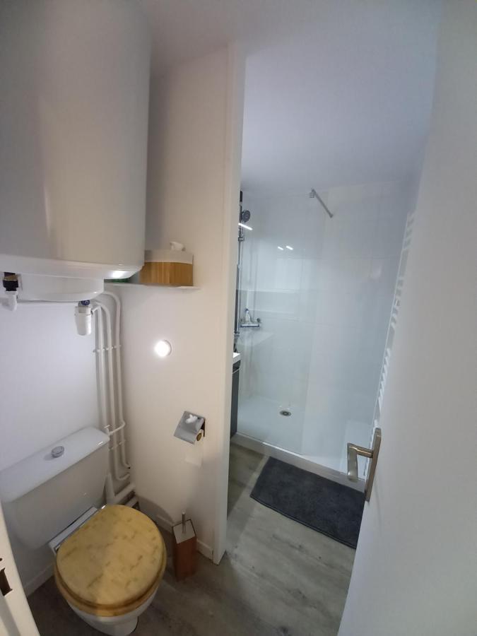 Appartement Cabine St-Lary-Soulan, Calme, Entierement Renove 圣拉里苏朗 外观 照片